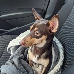 Meet your Posher, Derrick